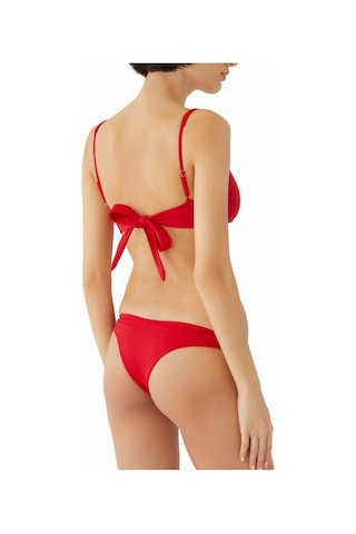Away That Day Fiji Bikini Altı Kırmızı