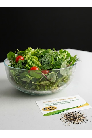 Sebze Tohumu - Taze Salata Yetiştirme Paketi 1 Adet