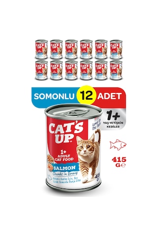 Cats Up Yaş Yetişkin Kedi Maması Somonlu 415gr 12li