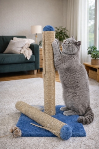 Lacivert Kedi Tırmalama Tahtası Yedek Borulu-42cm