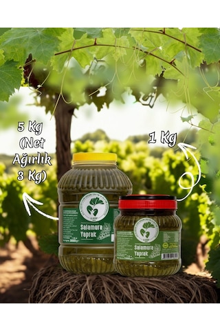 Alaşehir Kadın Kooperatifi Salamura Yaprak 3 KG