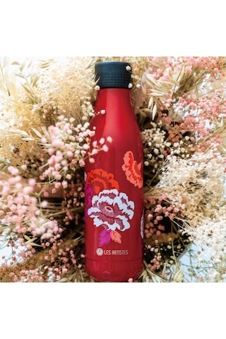 Les Artistes Paris Isı Yalıtımlı Çelik Termos 500ml Asian Vibe Çok Renkli
