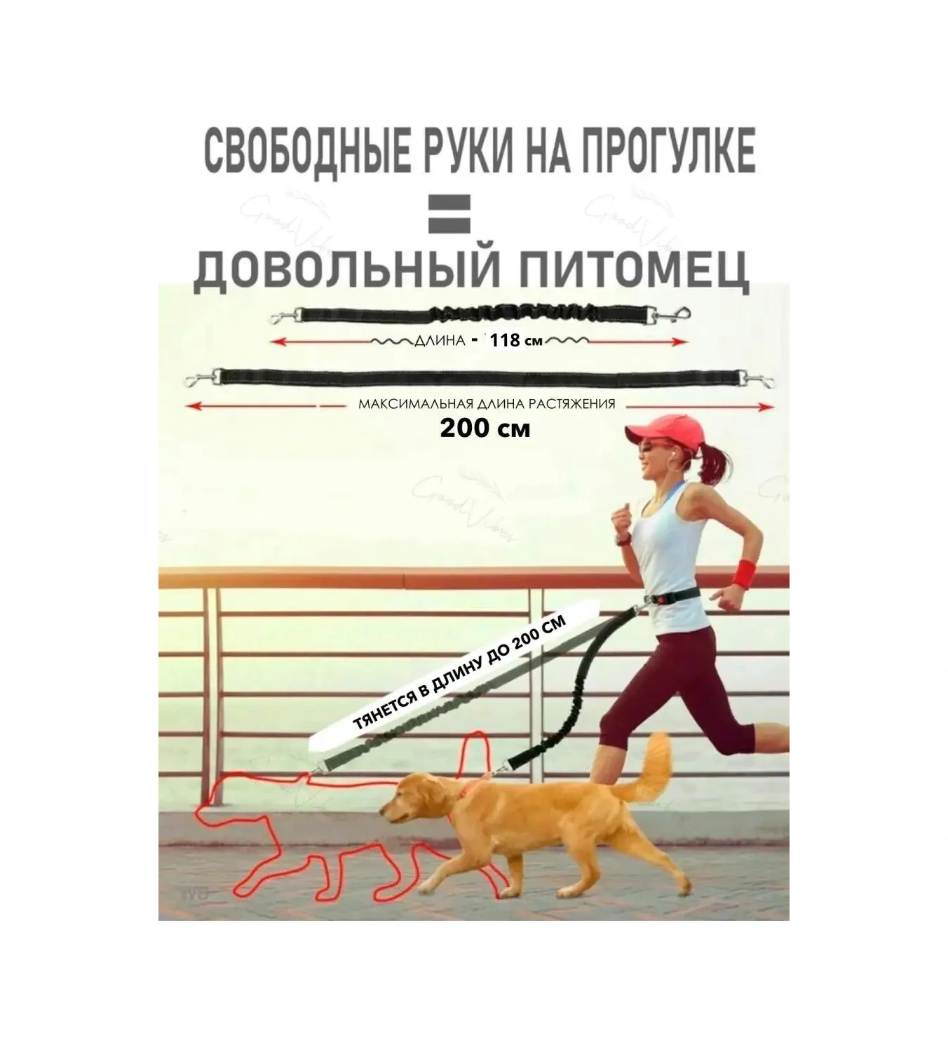 Big Jungle Köpek İçin Koşu Tasması Ayarlanabilir 19037406 Kırmızı