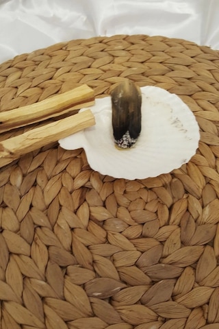 Palo Santo Nazar A Doğal Tütsü Pala Santo 2 Adet Ağaç Tütsü İstiridye Palosanto Luk İle Beraber Hex