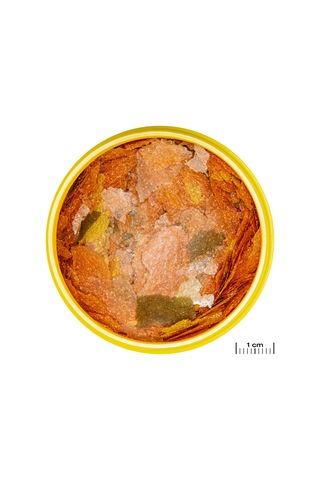 Jbl - 801 - Pronovo Tanganyıka Flakes - Csmo-tex - M 5,5