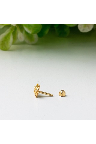 14 Ayar Altın Kaplumbağa Tragus Küpe Kphsy14k22502 Sarı