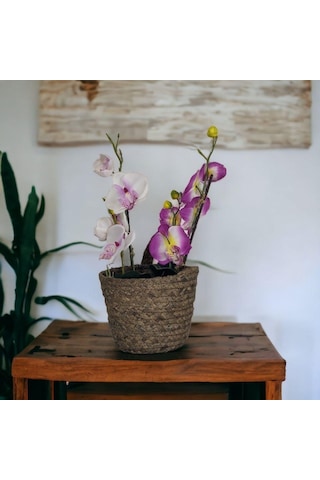 T.concept Dekoratif Yuvarlak Çok Amaçlı Rattan Sepet Orta Boy