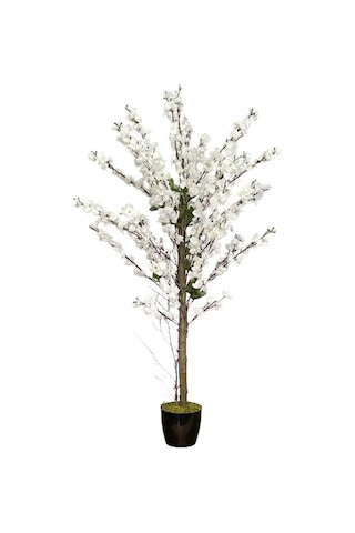 Yapay Ağaç Bahardalı Ağacı Beyaz Japon Kiraz Çiçeği Sakura Çiçeği