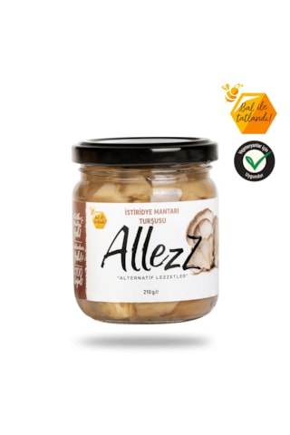 Allezz İstiridye Mantarı Turşusu 210 G