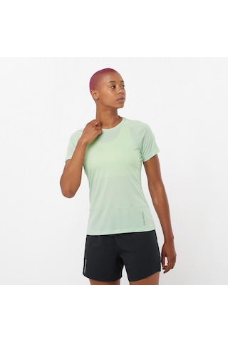 Salomon Cross Run Ss Tee W 4301 Çok Renkli