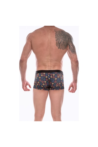 Erkek Çok Renkli Fantezi Giyim Desenli Boxer Hf072208