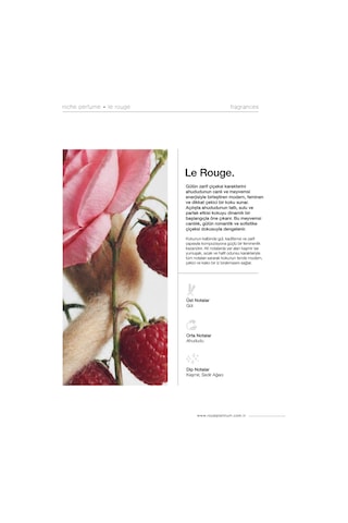 Le Rouge 100 Ml Nıche Parfüm Çiçeksi