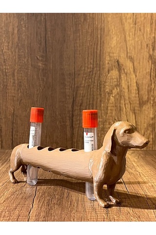 Köpek Laboratuvar Ve Kan Tüpü Standı