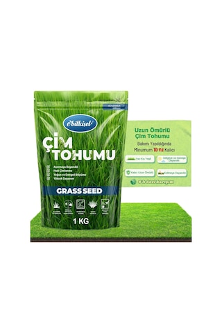 Ayrex Ebitkisel Çok Yıllık Çim Tohumu 1 Kg Uzun Ömürlü 6'li Karışım Gölge Ve Aşırı Güneşli Alan Uygun Ye