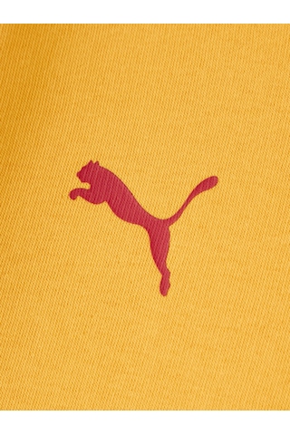 Gsstore Galatasaray Puma Çocuk Kapüşonlu Sweatshirt 78291425 Sarı