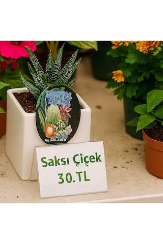 A Tipi Yatay Pleksi Föylük 7.5x10.5cm 5li Paket Şeffaf