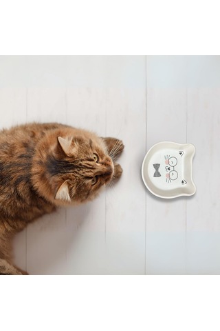 Seramik Kedi Şeklinde Ödül Kabı Sevimli Evcil Hayvan Mama Kabı 200 Ml Kapasiteli, Yavru Kediler, Yavru Köpekle