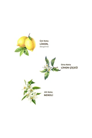 Eyüp Sabri Tuncer 80 Derece Limon Kolonyası Kilitli Kapaklı Bidon 1 L