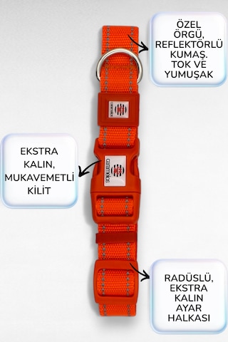 Caramelos Reflektörlü Köpek Tasması, Kişiye Özel Köpek Tasması. Büyük Ive Orta Irk Köpek Tasması Turuncu L Turuncu