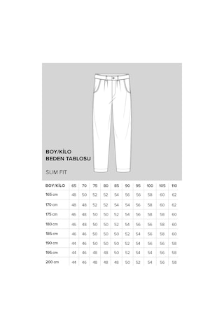 Ac&Co / Altınyıldız Classics Slim Fit Dar Kesim Pamuklu Chino Erkek Pantolon - Camel