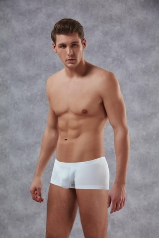 Doreanse Erkek Modal Adonis Torbalı Mini Paça Boxer 1750 (389420317)