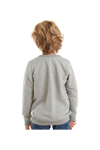 Denokids Sevimli Arabalar Gri Erkek Çocuk Sweatshirt Gri