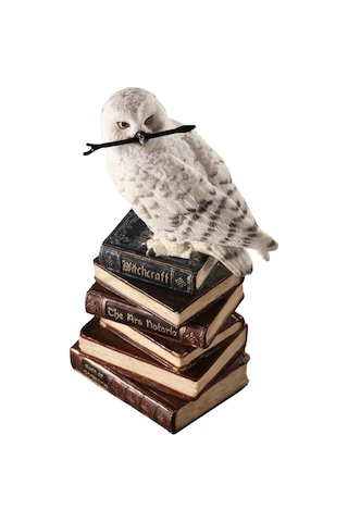 Kitap Yığını Üzerindeki Sihirli Değnekli Hedwig Kar Baykuşu Biblosu / Küçük Boy