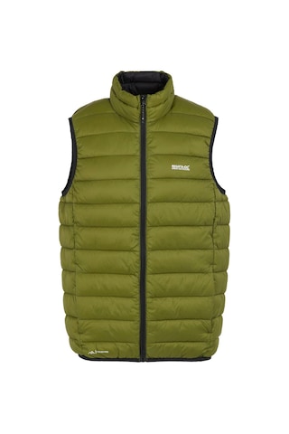 Regatta Marizion Bw Erkek Yelek-Yeşil