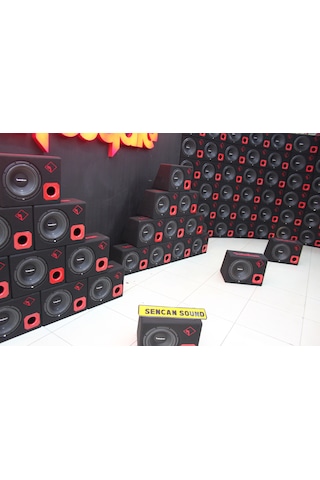 Rockford Fosgate R1-10 - Amerikan Ürünü