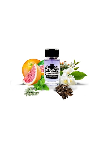 Lion Francesco Scent Of Barcelona Erkek Parfüm EDP 50 ML