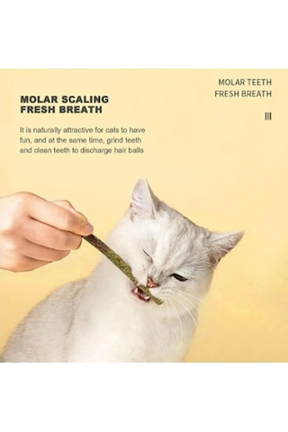 6 Adet Doğal Meyve Aromalı Matatabi Çubuğu Catnip Stick Kedi Catnip Dalı Gall-fruıt-stick