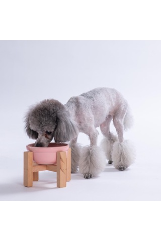 Pembe Ahşap Standlı Seramik Mama/ Su Kabı Kedi Köpek Mama Su Kabı