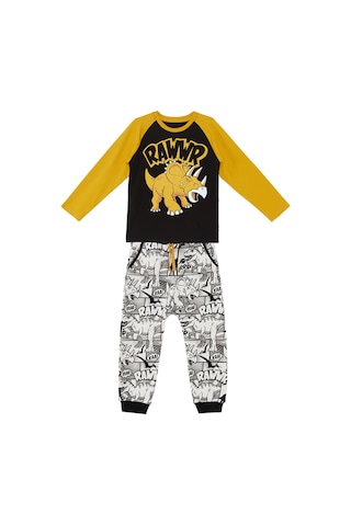 Denokids Mshb&g Rawr Erkek Çocuk T-shirt Pantolon Takım Çok Renkli