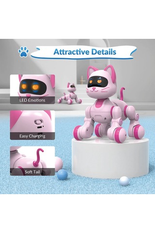 Uzaktan Kumandalı Ses Kontrollü Programlanabilir Akıllı Robot Kedi