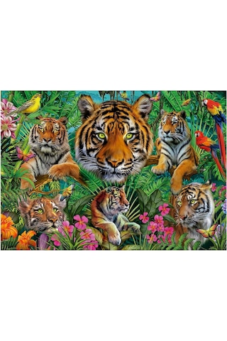 Educa Puzzle - 500 Parça Kaplan Ormanı Puzzle - 19902 - Tiger Jungle