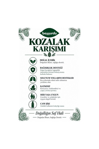 Zencefilli Propolisli Kozalak Şurubu Beyyurdu Doğal İçerikli Bitkisel Karışım