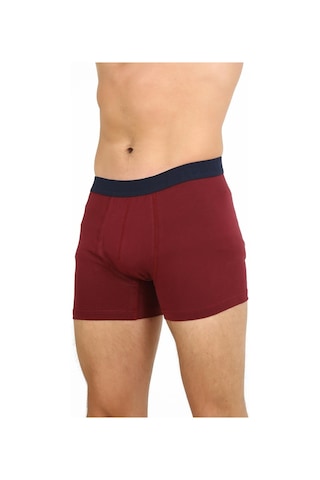 Five Pocket Fpb8002 Erkek Boxer (516184735)
