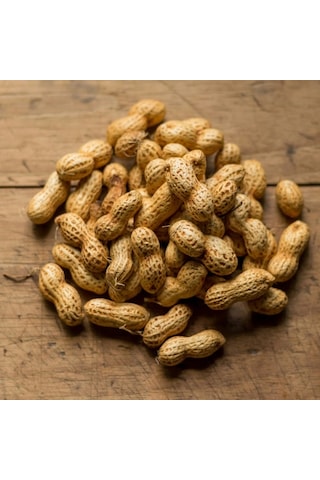 Kabuklu Sade Kavrulmuş Yer Fıstığı 1 Kg 1 KG