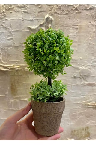 Zümrüt Yeşili İkili Topiary Aranjman 24 Cm X 10 Cm Yeşil