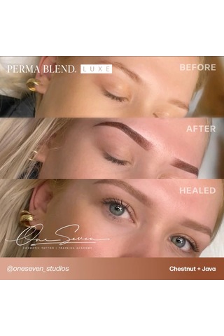 Perma Blend Luxe Chestnut Kalıcı Makyaj Kaş Pigmenti 15ml Diğer