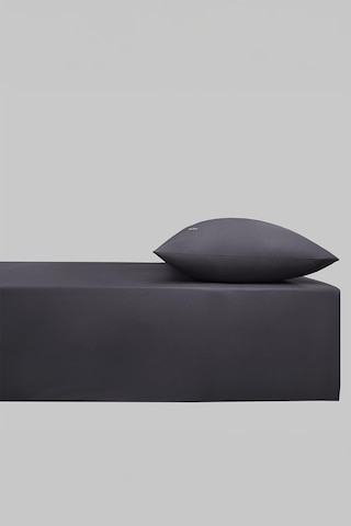 Sarev New Slow City Antrasit %100 Pamuk Tek Kişilik Lastikli Çarşaf Seti Antrasit