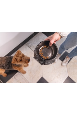 Beeztees Dbl Köpek Mama Su Kabı, Mat Siyah Paslanmaz Çelik, Siyah Mermer Görünümlü, 17,5cm, 350ml