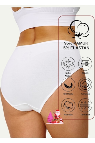 Alya Underwear Kadın Külot Basic Slip Renkli Pamuklu Iç Çamaşırı 10'lu Paket Multicolor-x32 Multicolor - X40