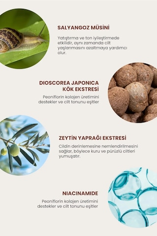 Onarıcı Salyangoz Tonik