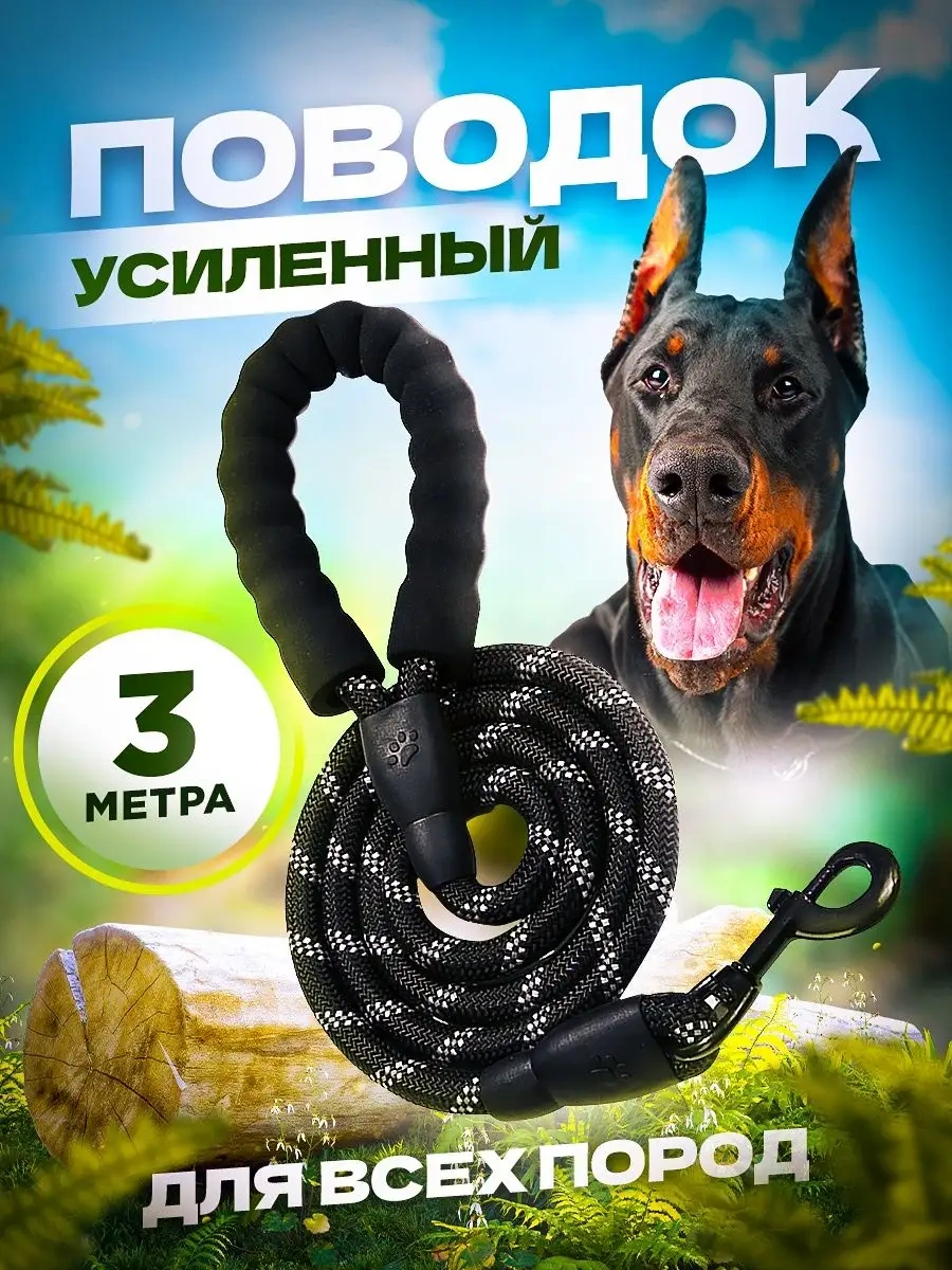 Petfort 3 M Yansıtıcı Naylon Köpek Tasması 167502164 Siyah