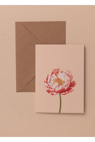 The Mia Art Line Mini Tebrik Kart Seti Peonie 10 X 14 Cm