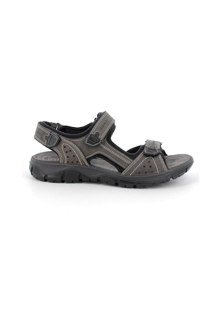 Sandalet Erkek 5642611 Uev 56426 Igı&co Nabuk Schıar Grigio Kahverengi