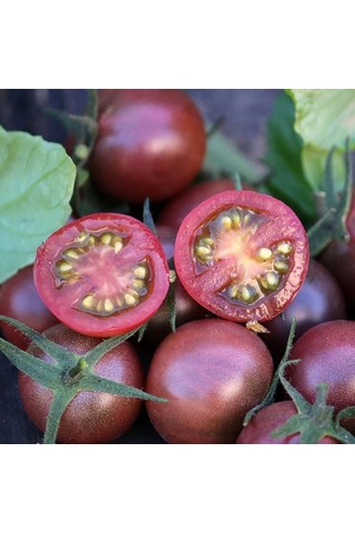 Nadir Black Cherry Siyah Domates Tohumu 15 Tohum