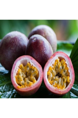 Mor Meyveli Passiflora Passion Fruit Çarkıfelek Tohumu-7 Adet