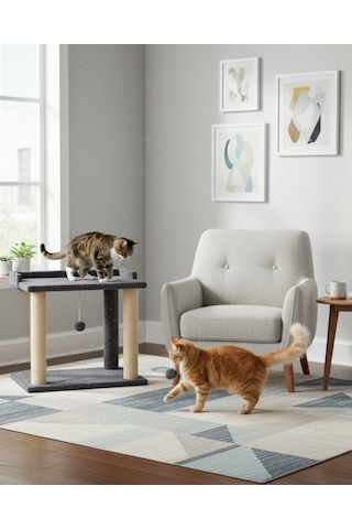Reyo Pet Teraslı Yataklı Ponponlu Kedi Tırmalaması Antrasit